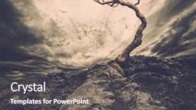  Presentation with old dry tree - Amazing slide set having sky over old lonely tree backdrop and a dark gray colored foreground