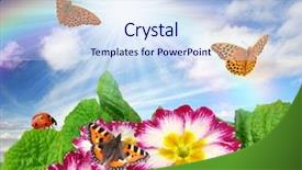  Presentation with sky rainbow - Cool new presentation theme with sky rainbow - floral background with butterfly backdrop and a  colored foreground