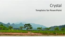  Presentation with summer trees - Audience pleasing slide set consisting of sky summer time trees plantation backdrop and a white colored foreground