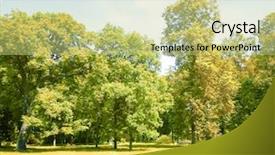  Presentation with fall leaves - Audience pleasing slide set consisting of sky tree - fall wallpaper leaves and branches backdrop and a  colored foreground