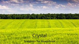  Presentation with sunny sky - Colorful slides enhanced with sky ukraine europe beauty world backdrop and a gold colored foreground