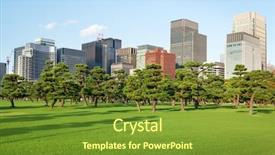  Presentation with apple trees are blooming pink - Cool new theme with skyline asia - pine trees park in front backdrop and a tawny brown colored foreground