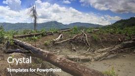  Presentation with palm oil - Beautiful presentation theme featuring slash - deforestation rainforest destroyed and oil backdrop and a tawny brown colored foreground