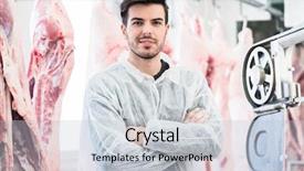  Presentation with slaughterhouse - Audience pleasing slides consisting of carcass - butcher in slaughterhouse in front backdrop and a lemonade colored foreground