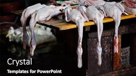  Presentation with market - Theme having slaughtered ducks on display on an open market yangshuo china background and a black colored foreground