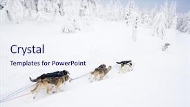  Presentation with dog sled - Presentation theme enhanced with sledge dogging sedivacek''s long background and a sky blue colored foreground