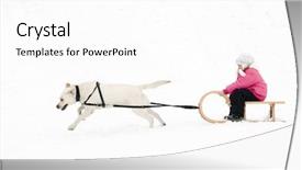  Presentation with dog sled - Theme featuring sledding with dog background and a  colored foreground