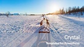  Presentation with husky - Presentation featuring sledding with husky dogs background and a light blue colored foreground