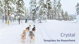  Presentation with husky - 