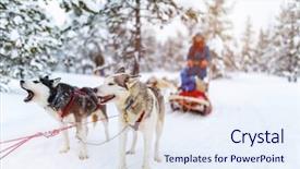  Presentation with dog sled - PPT theme having sledding with husky dogs background and a sky blue colored foreground