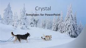  Presentation with czech republic - Audience pleasing slide set consisting of sledge-dogging-sedivacek-s-long backdrop and a light blue colored foreground