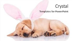  Presentation with cute christmas pug puppy dog - PPT theme with sleep lab - cute little labrador retriever puppy background and a white colored foreground