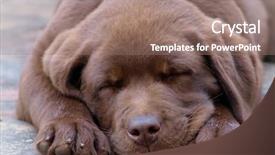  Presentation with charlie and the chocolate factory - Audience pleasing theme consisting of epic backgrounds - oppdal mountain valley landscape bokeh backdrop and a light blue colored foreground