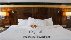  Presentation with sleeping - Beautiful theme featuring sleeping-cat-in-a-hotel backdrop and a light gray colored foreground
