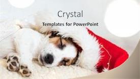  Presentation with dog christmas - PPT theme with sleeping dog in christmas hat puppy on pillow at home background and a sky blue colored foreground