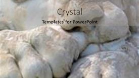  Presentation with lion - PPT theme consisting of sleeping lion background and a light gray colored foreground