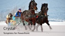  Presentation with horse - Audience pleasing presentation design consisting of sleigh ride - people with horse sledge outdoor backdrop and a light gray colored foreground