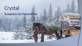  Presentation with horses - Audience pleasing presentation design consisting of sleigh ride - two horses on a snowy backdrop and a sky blue colored foreground