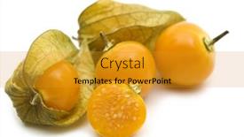  Presentation with background - Cool new presentation theme with slice-fresh-physalis-on-white backdrop and a gold colored foreground