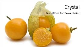  Presentation with fresh ginger root on white - Colorful PPT layouts enhanced with slice-fresh-physalis-on-white backdrop and a white colored foreground