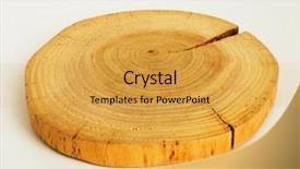  Presentation with pine - Presentation design consisting of slice of a tree - section of a pine tree background and a yellow colored foreground