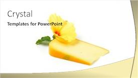 Presentation with hibiscus flower - PPT theme enhanced with slice-of-gouda-cheese background and a white colored foreground