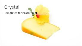 Presentation with hibiscus flower - Colorful theme enhanced with slice-of-gouda-cheese backdrop and a white colored foreground