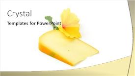  Presentation with hibiscus flower - PPT layouts consisting of slice-of-gouda-cheese background and a white colored foreground