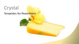  Presentation with hibiscus flower - Cool new slides with slice-of-gouda-cheese backdrop and a white colored foreground