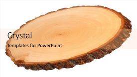 Presentation with tree rings - Audience pleasing PPT theme consisting of slice of wood showing tree backdrop and a  colored foreground