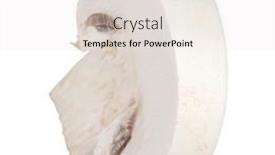  Presentation with champignon mushroom - PPT theme consisting of sliced-champignon-mushroom-isolated background and a white colored foreground