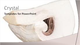  Presentation with champignon mushroom - Audience pleasing slide deck consisting of sliced-champignon-mushroom-isolated backdrop and a white colored foreground