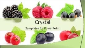  Presentation with berries - PPT theme with sliced fruits - ripe berries in closeup background and a soft green colored foreground