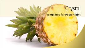  Presentation with pineapple - Colorful presentation theme enhanced with sliced pineapple on a white backdrop and a blonde colored foreground