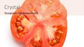  Presentation with tomato ketchup single red - Beautiful presentation theme featuring sliced-red-beefsteak-tomatoes-isolated backdrop and a coral colored foreground