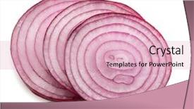  Presentation with red onion - Audience pleasing presentation theme consisting of sliced red onion rings isolated backdrop and a lemonade colored foreground