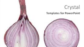  Presentation with red onion - Audience pleasing presentation theme consisting of sliced-red-onion backdrop and a white colored foreground