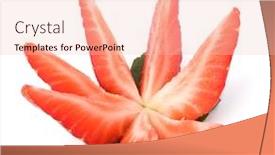  Presentation with strawberry - Cool new presentation theme with sliced-strawberry-isolated-on-white backdrop and a lemonade colored foreground