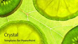  Presentation with citrus - Audience pleasing slides consisting of slices citrus on green natural backdrop and a gold colored foreground
