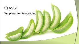 Presentation with aloe vera - Theme enhanced with slices of aloe vera background and a white colored foreground