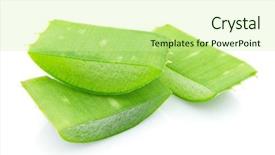  Presentation with aloe vera gel - Theme featuring slices of aloe vera background and a soft green colored foreground