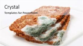  Presentation with mold - Slide set featuring slices of brown bread covered background and a  colored foreground