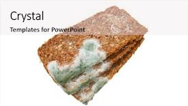  Presentation with mold - PPT theme enhanced with slices of brown bread covered background and a  colored foreground
