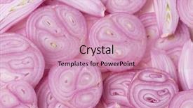  Presentation with green onions and bulb onion - Presentation theme with slices of shallot onions background and a coral colored foreground