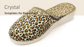  Presentation with slipper - Beautiful slides featuring slipper-isolated-on-white-background backdrop and a soft green colored foreground