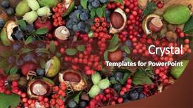  Presentation with fall leaves border autumn - Amazing theme having sloe - autumn fruit and nut background backdrop and a tawny brown colored foreground