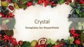  Presentation with border - Presentation theme featuring sloe - background border of autumn fruit background and a cream colored foreground