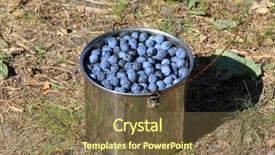  Presentation with dental steel crown - Presentation design having sloe - blackthorn in steel pan background and a  colored foreground