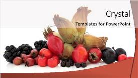  Presentation with blackberry - PPT layouts having sloe - elderberry rosehip hawthorn blackberry blackthorn background and a  colored foreground