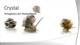  Presentation with direction - Audience pleasing theme consisting of photograph of the juxtaposition of a highly graffitied wall against modern new developments and upmarket properties in a city centre backdrop and a gray colored foreground